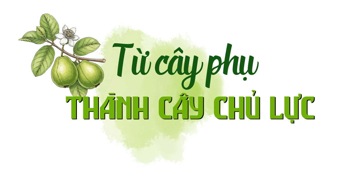 emagazine oi tan yen dat chuan de di duong