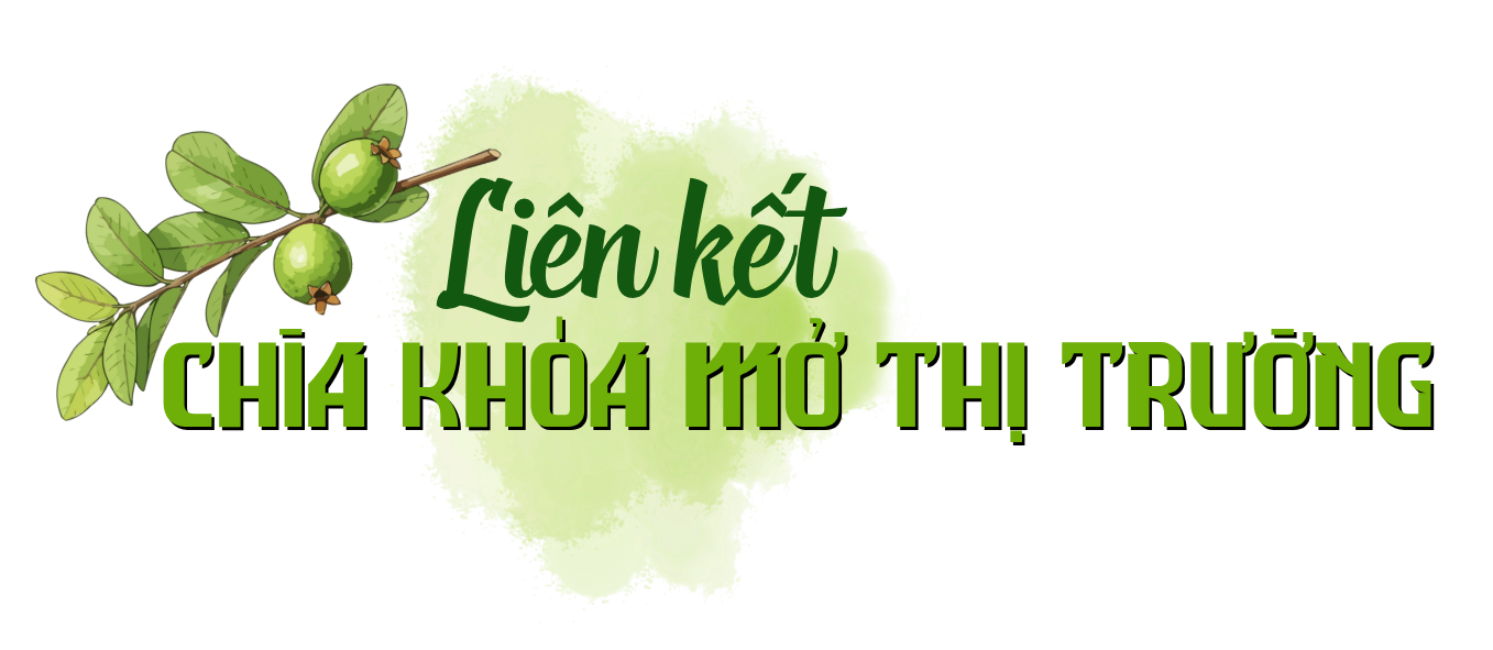 emagazine oi tan yen dat chuan de di duong