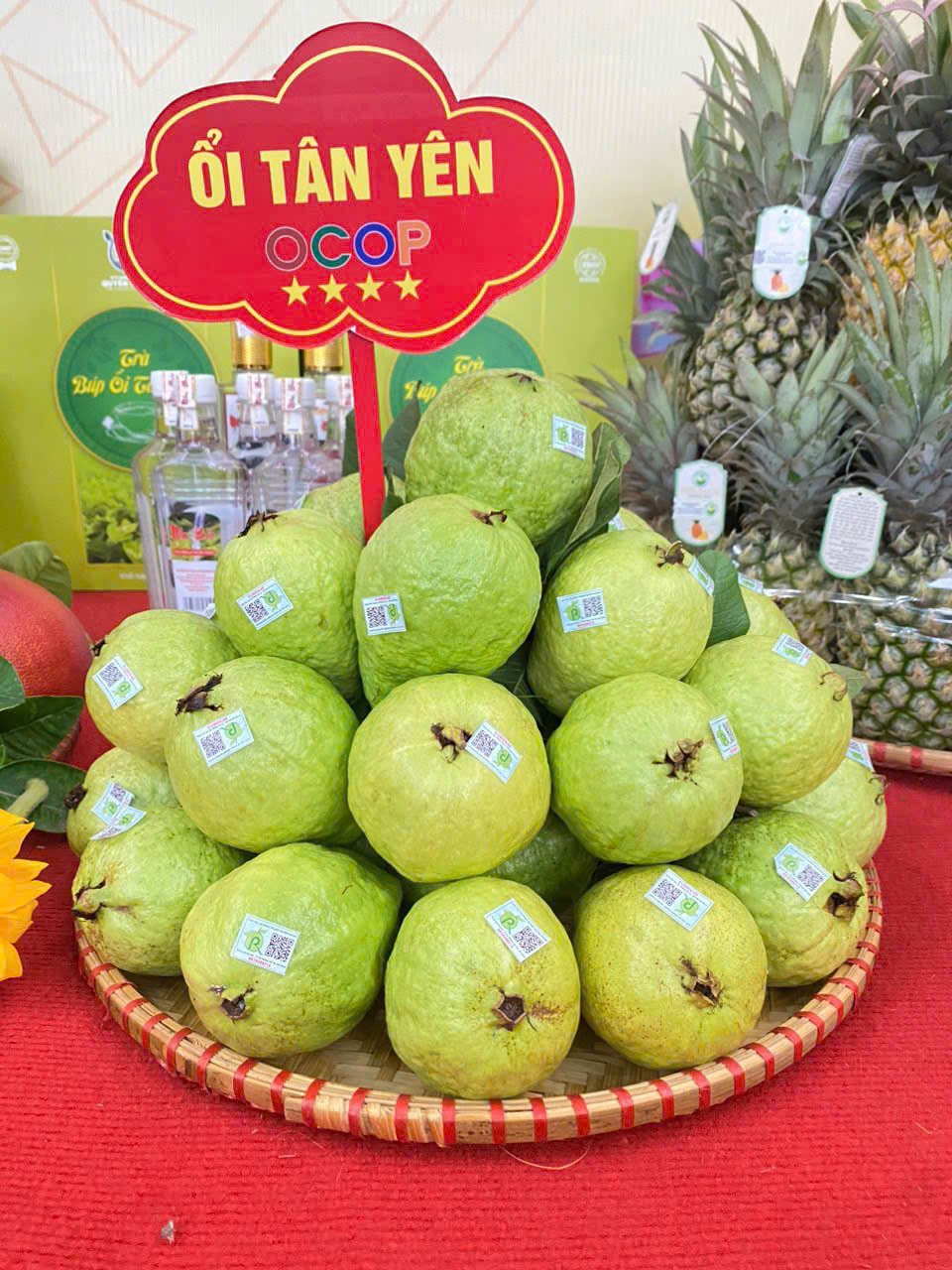 emagazine oi tan yen dat chuan de di duong