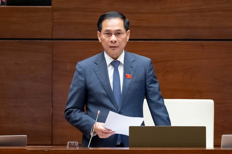 Phó Thủ tướng Chính phủ Bùi Thanh Sơn phát biểu tiếp thu, giải trình. Ảnh: Quochoi.vn