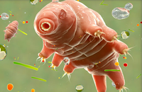 sinh vat nho be tiet lo ma sinh ton giup con nguoi chong buc xa va chua ung thu 2441 8691