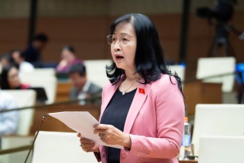 Đại biểu Quốc hội lo ngại AI 