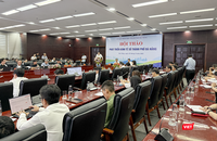 vt hoi thao kinh te so 1 206 2544