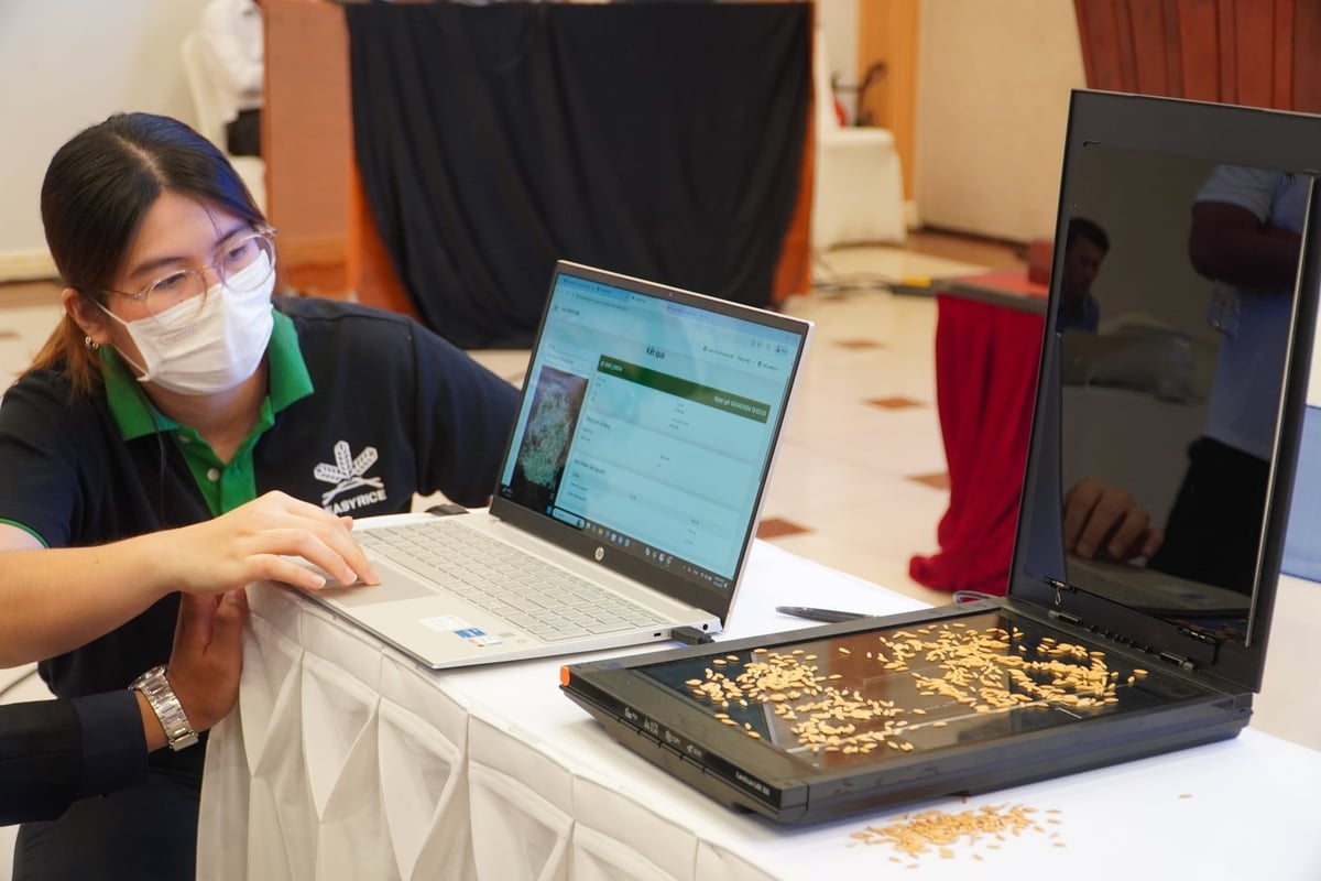 Công nghệ ứng dụng AI để kiểm tra chất lượng lúa giống đang được doanh nghiệp phát triển. Ảnh: Kim Anh. Công nghệ ứng dụng AI để kiểm tra chất lượng lúa giống đang được doanh nghiệp phát triển. Ảnh: Kim Anh.