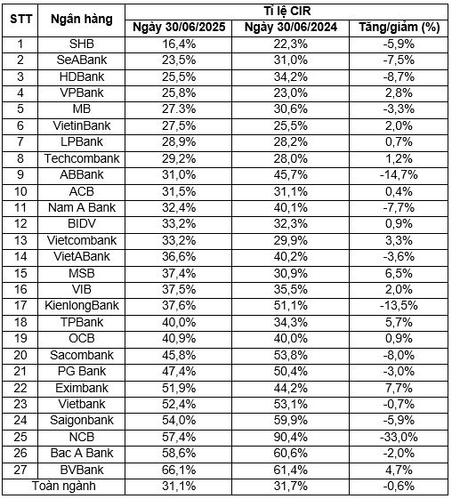 Nguồn: Vietnambiz, 2025 Nguồn: Vietnambiz, 2025