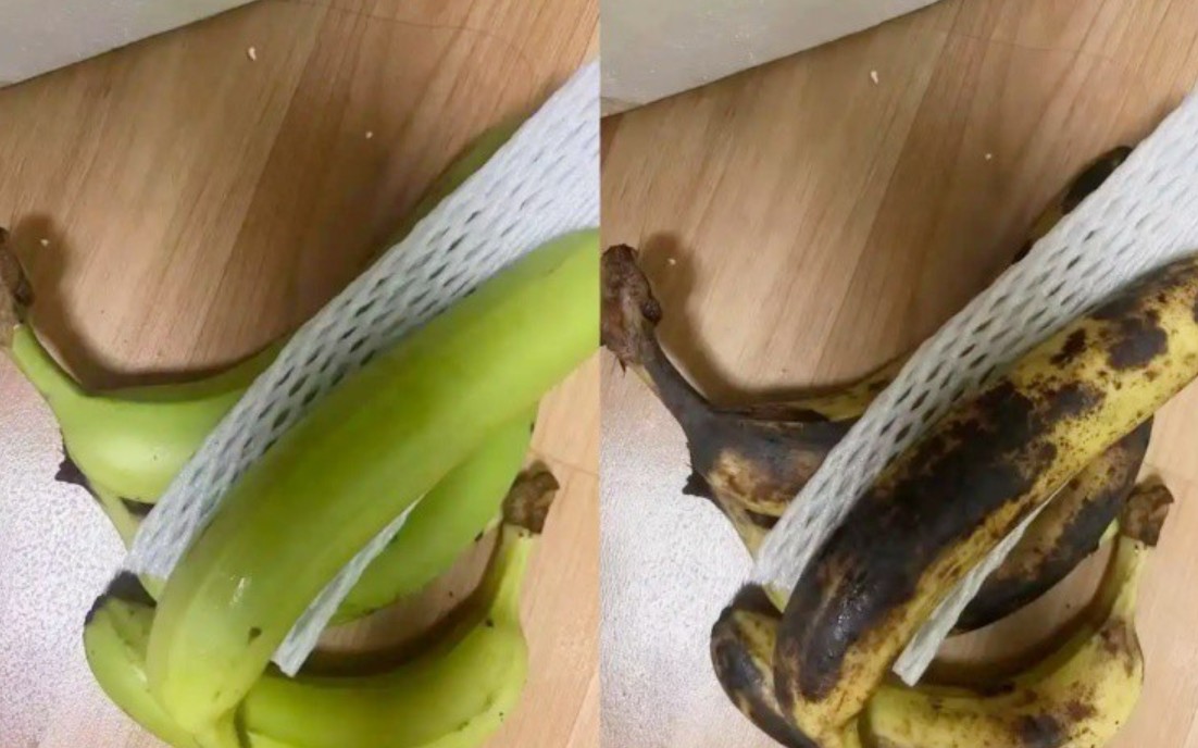 Các chủ cửa hàng thương mại điện tử 