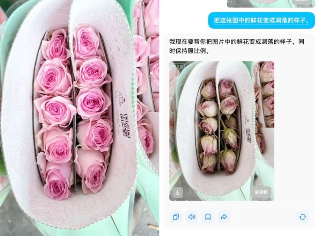 Các chủ cửa hàng thương mại điện tử 