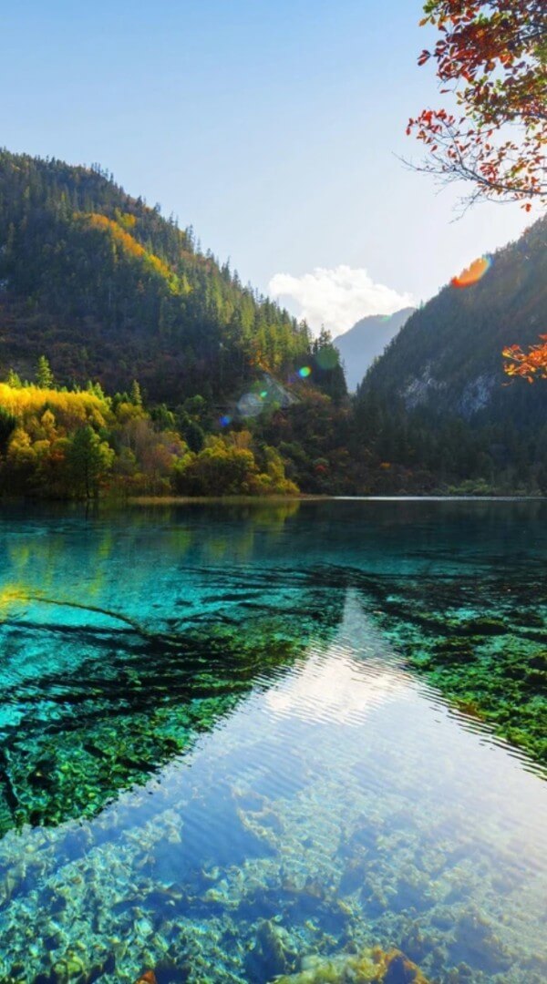 Hình nền sông suối hùng vĩ