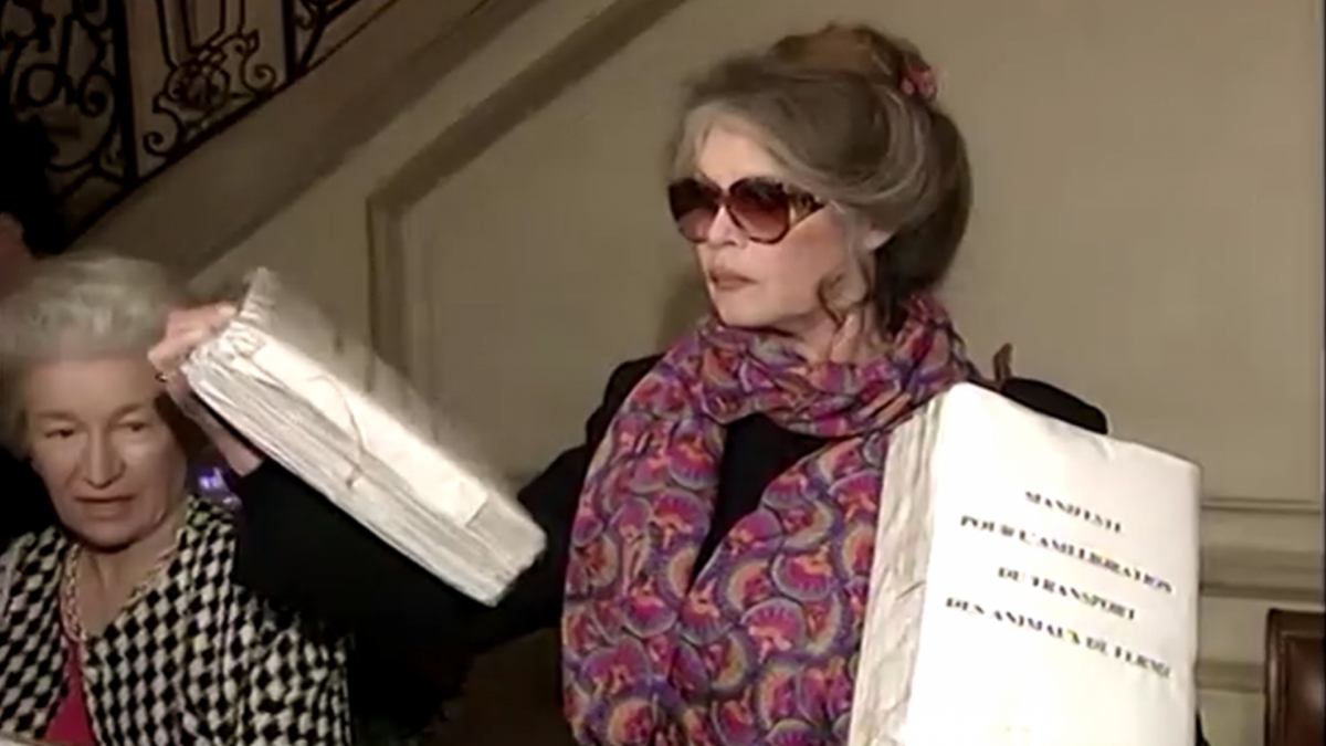 huyen thoai dien anh phap brigitte bardot qua doi o tuoi 91 hinh anh 1