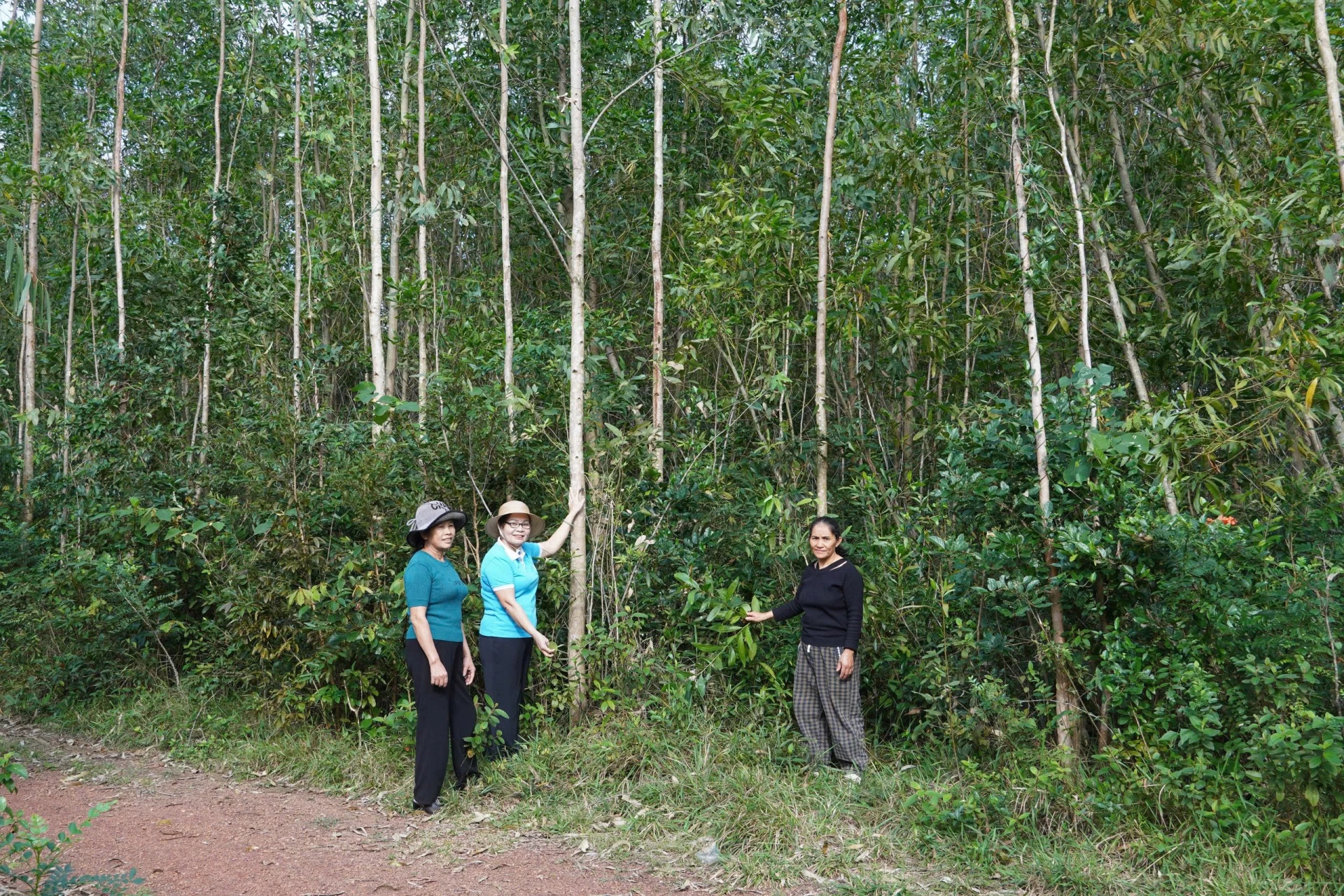 Lan tỏa tinh thần sẻ chia từ mô hình vườn cây sinh kế 1 “Vườn cây sinh kế” trở thành nơi gắn kết hội viên phụ nữ bằng nghĩa tình và trách nhiệm - Ảnh: T.T