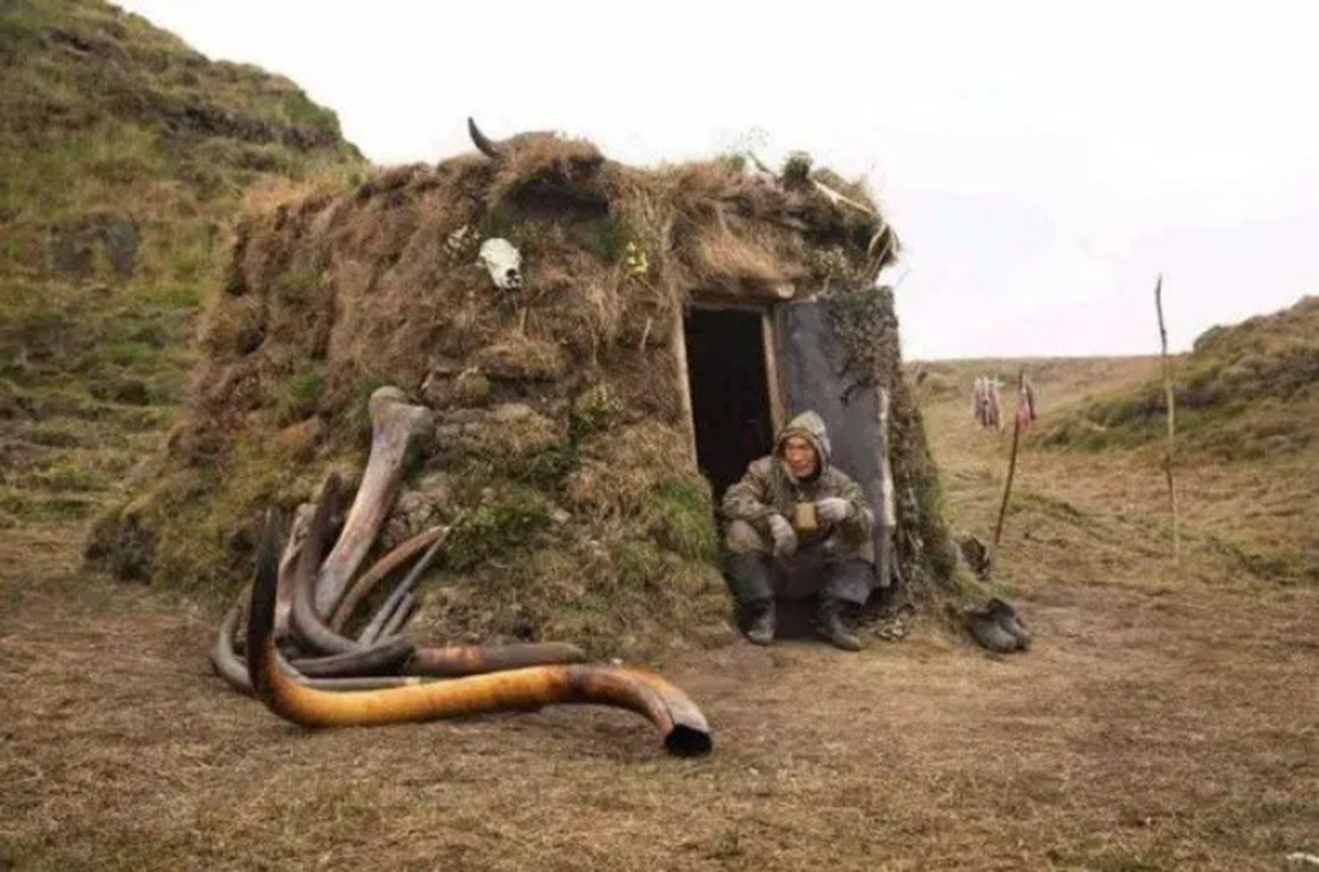 Kiếm tiền tỷ trong 2 tháng nhưng ít ai dám làm 1 Nghề