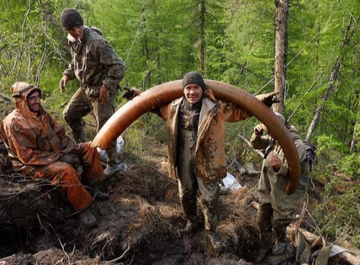 Kiếm tiền tỷ trong 2 tháng nhưng ít ai dám làm 2 Nghề