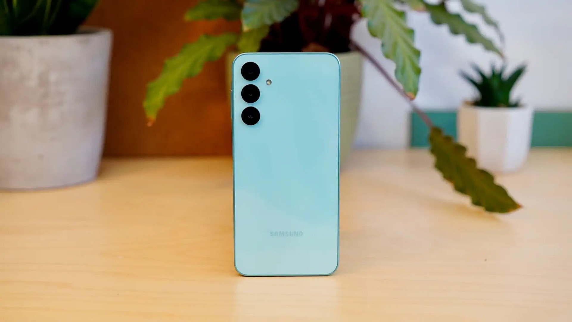 - Ảnh 4. - Ảnh 4.