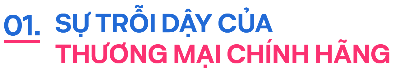 Bà Thanh Đoàn nói về thương mại điện tử Việt Nam và xu hướng hàng chính hãng mới - Ảnh 1. Bà Thanh Đoàn nói về thương mại điện tử Việt Nam và xu hướng hàng chính hãng mới - Ảnh 1.