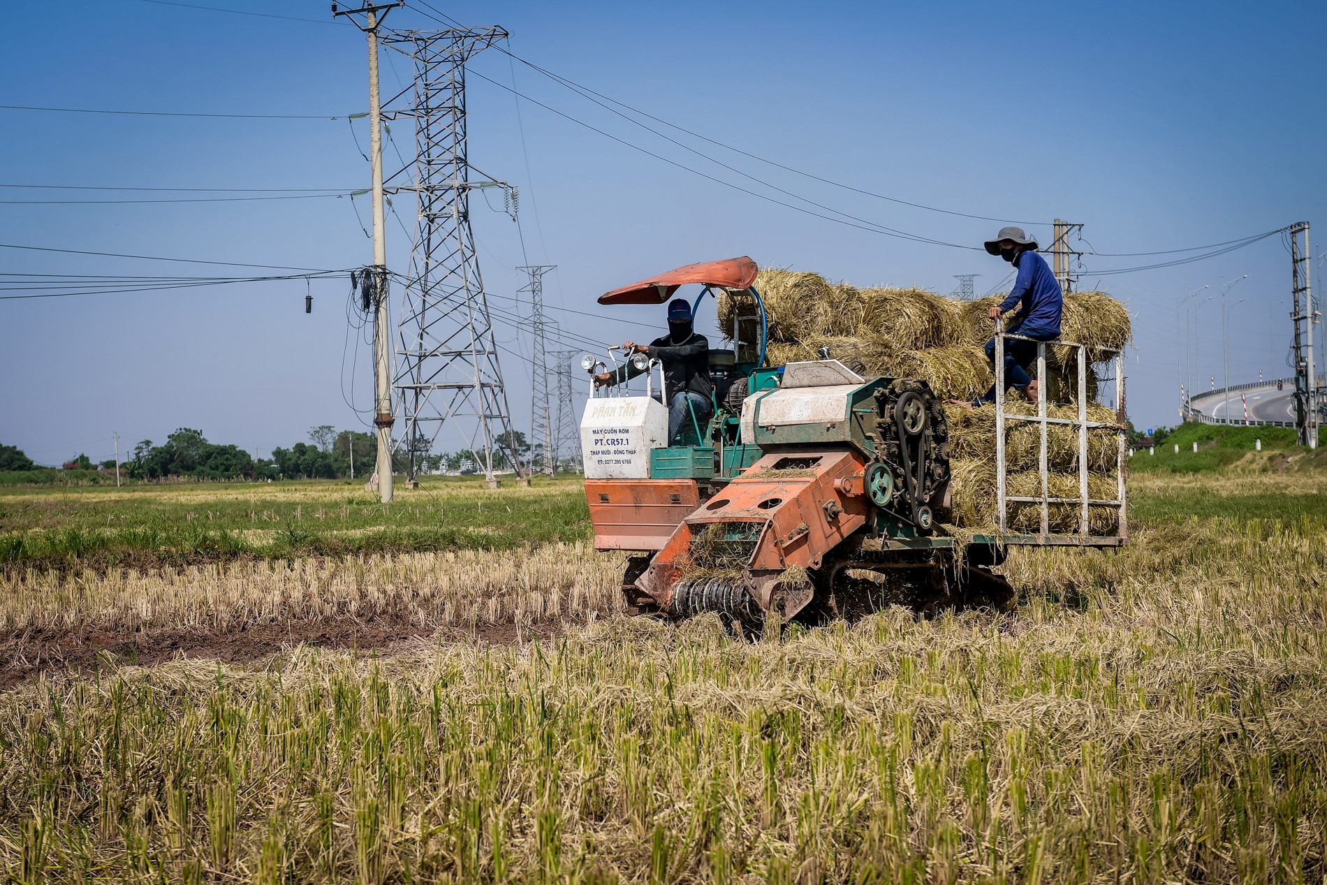 tu rom ra thanh vang nong dan ninh binh kiem tram trieu moi mua gat 2174