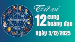 tu vi 12 cung hoang dao thu tu ngay 3122025 bo cap van trinh thuan loi 20251202081327