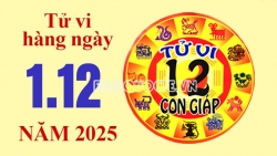 tu vi hom nay xem tu vi 12 con giap hom nay ngay 30112025 20251129160126