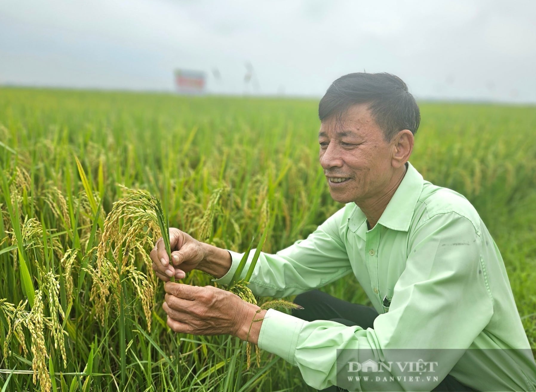 11483520250514 102604 1140 1343 0847 0832