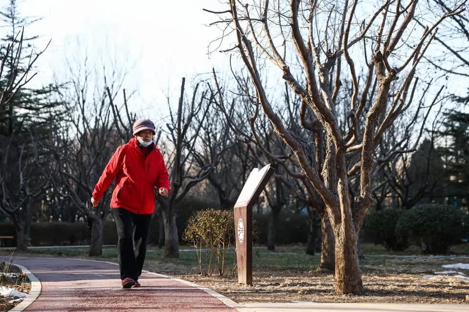 Ứng dụng hỏi thăm mỗi ngày và nỗi lòng của những người trẻ chọn lối sống "độc thân toàn thời gian" 1 17682969795431072908751 1768362356462 17683623569351651399259