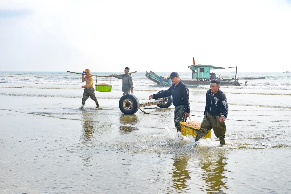Tết Dương lịch, ngư dân ven biển xứ Thanh vẫn vươn khơi săn “lộc biển”