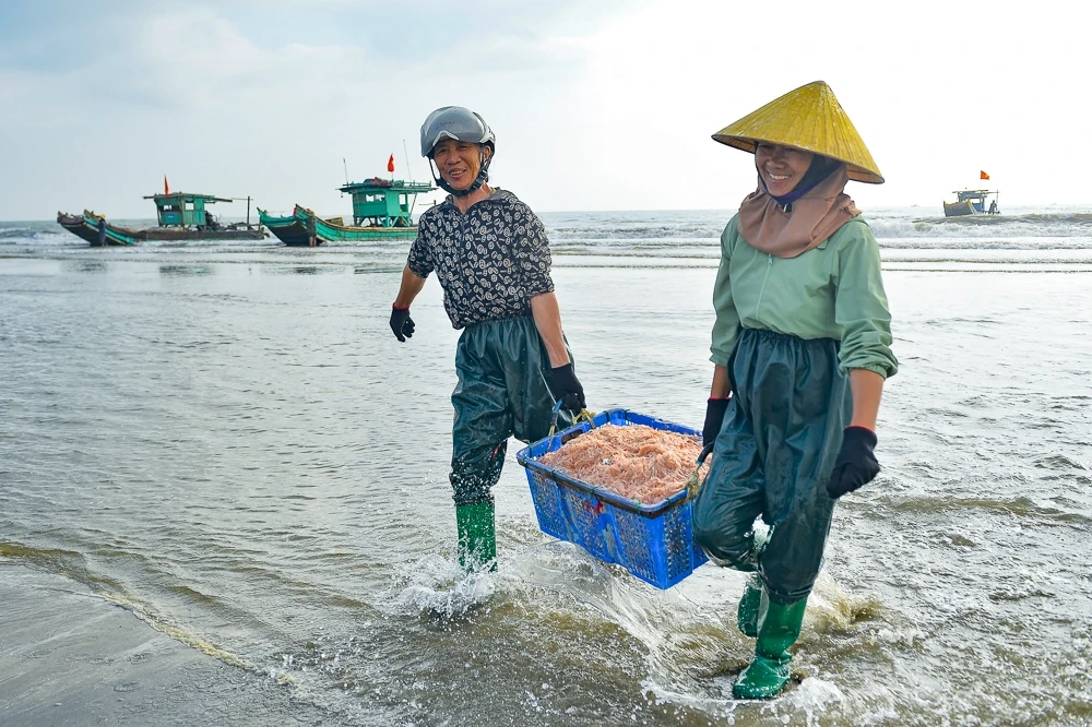 Tết Dương lịch, ngư dân ven biển xứ Thanh vẫn vươn khơi săn “lộc biển”