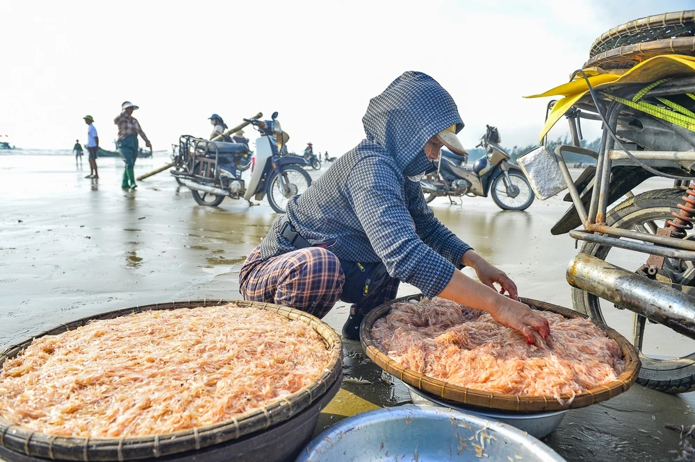 Tết Dương lịch, ngư dân ven biển xứ Thanh vẫn vươn khơi săn “lộc biển”