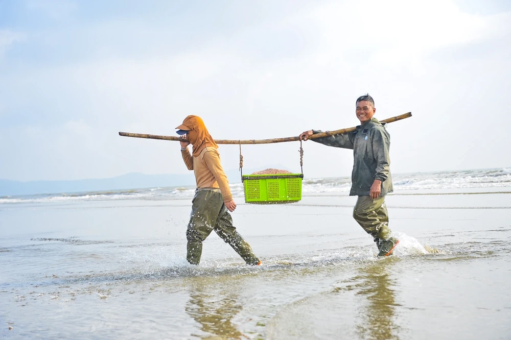 Tết Dương lịch, ngư dân ven biển xứ Thanh vẫn vươn khơi săn “lộc biển”