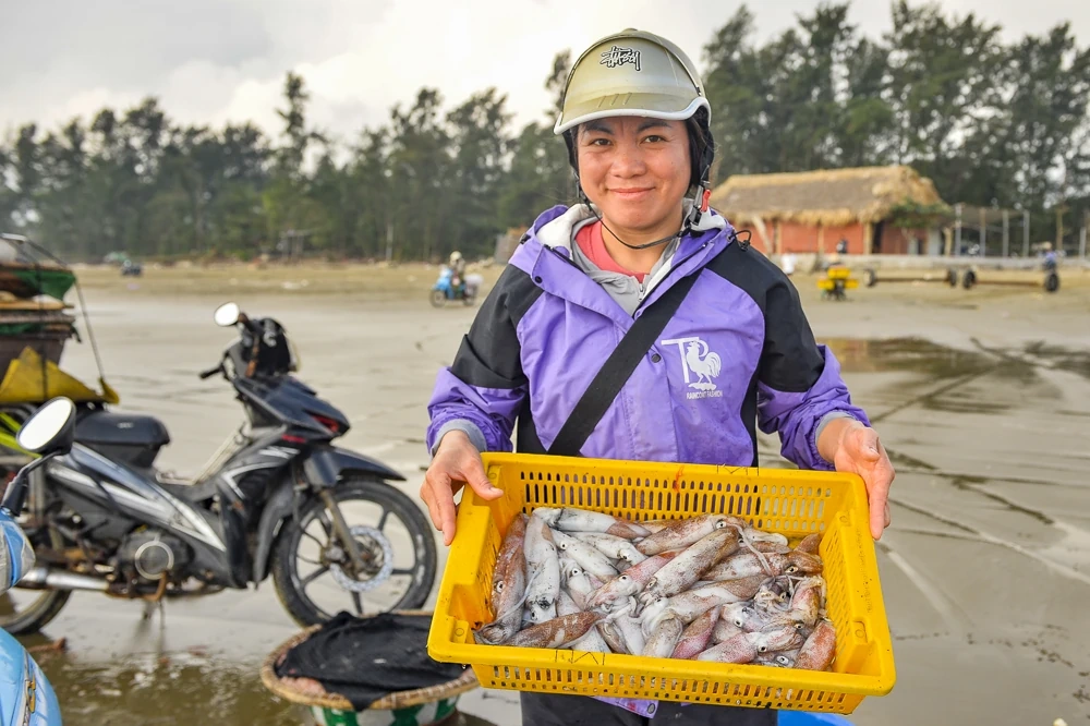 Tết Dương lịch, ngư dân ven biển xứ Thanh vẫn vươn khơi săn “lộc biển”