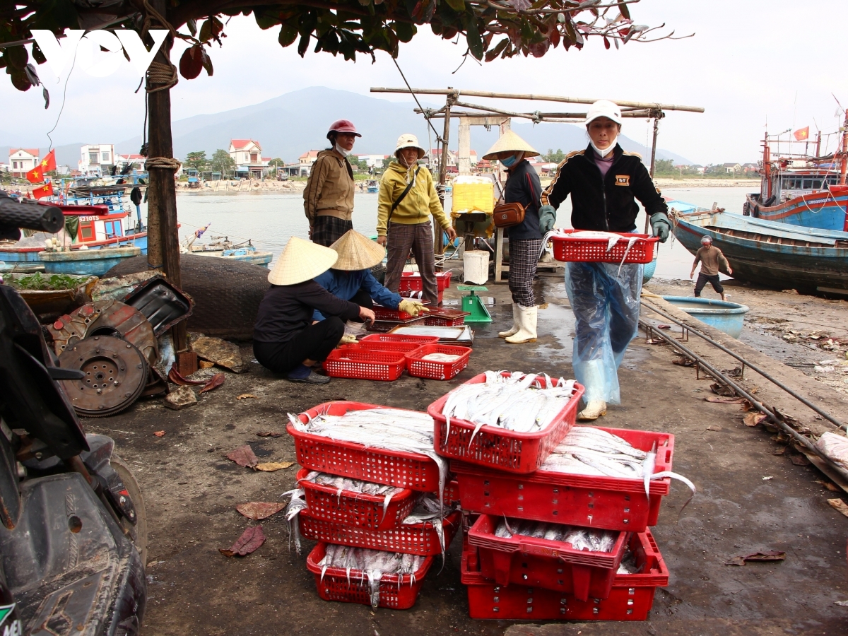 quang tri siet kiem soat tu cang ca trong chong khai thac iuu hinh anh 3