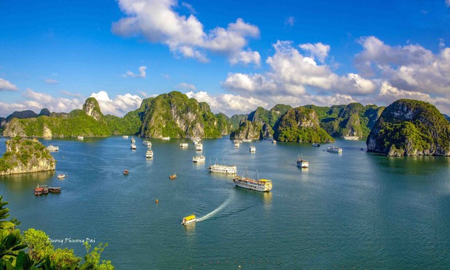 Quảng Ninh: Đổi mới khoa học, công nghệ, chuyển đổi số tạo động lực bứt phá cho phát triển văn hóa - Ảnh 1. Quảng Ninh: Đổi mới khoa học, công nghệ, chuyển đổi số tạo động lực bứt phá cho phát triển văn hóa - Ảnh 1.