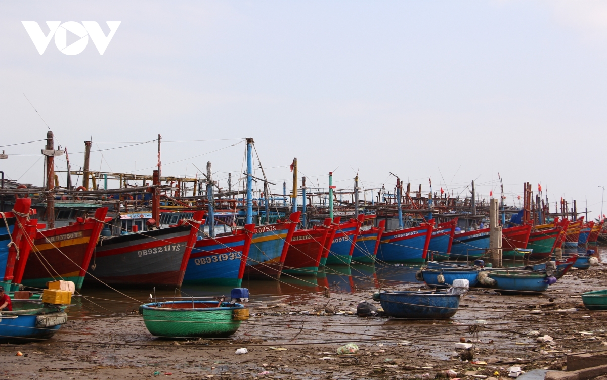 quang tri siet kiem soat tu cang ca trong chong khai thac iuu hinh anh 1