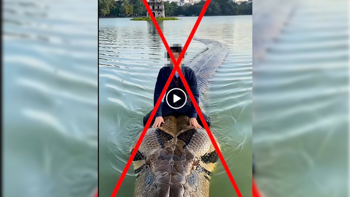 xu phat nguoi dung ai dang video sai su that ve ho hoan kiem hinh anh 1