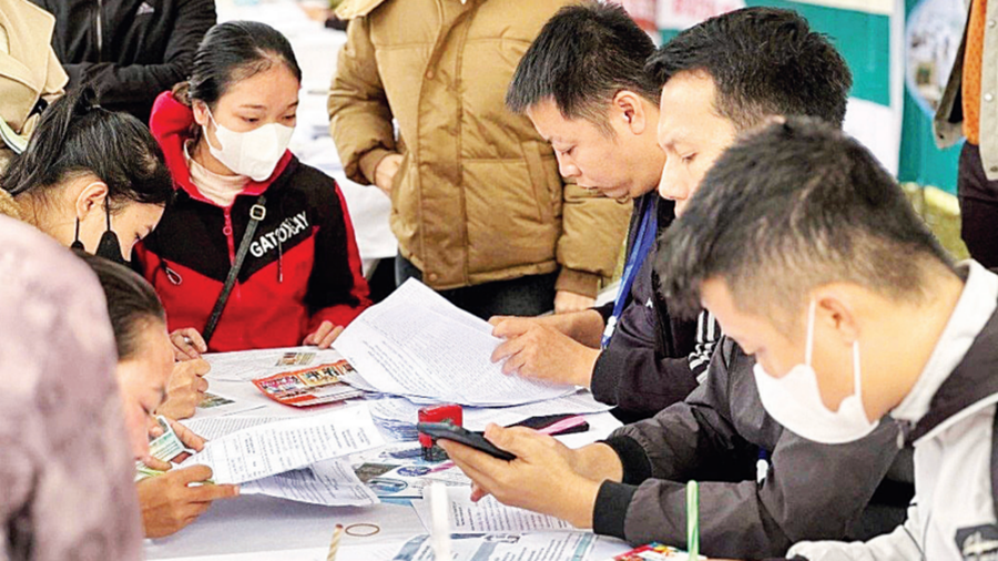 Lao động tìm hiểu về xuất khẩu lao động sang Hàn Quốc tại Ngày hội việc làm trên địa bàn huyện Tương Dương (cũ).