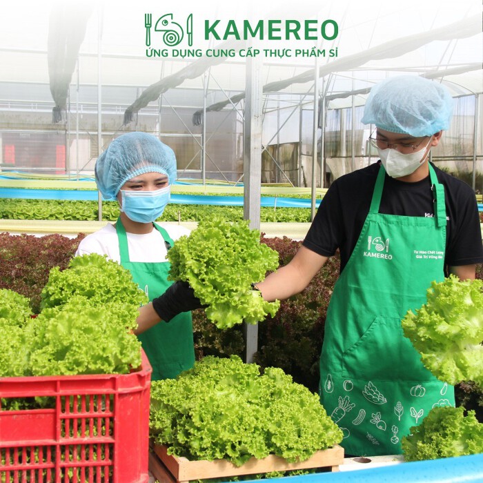 kamereo 20260112151507483