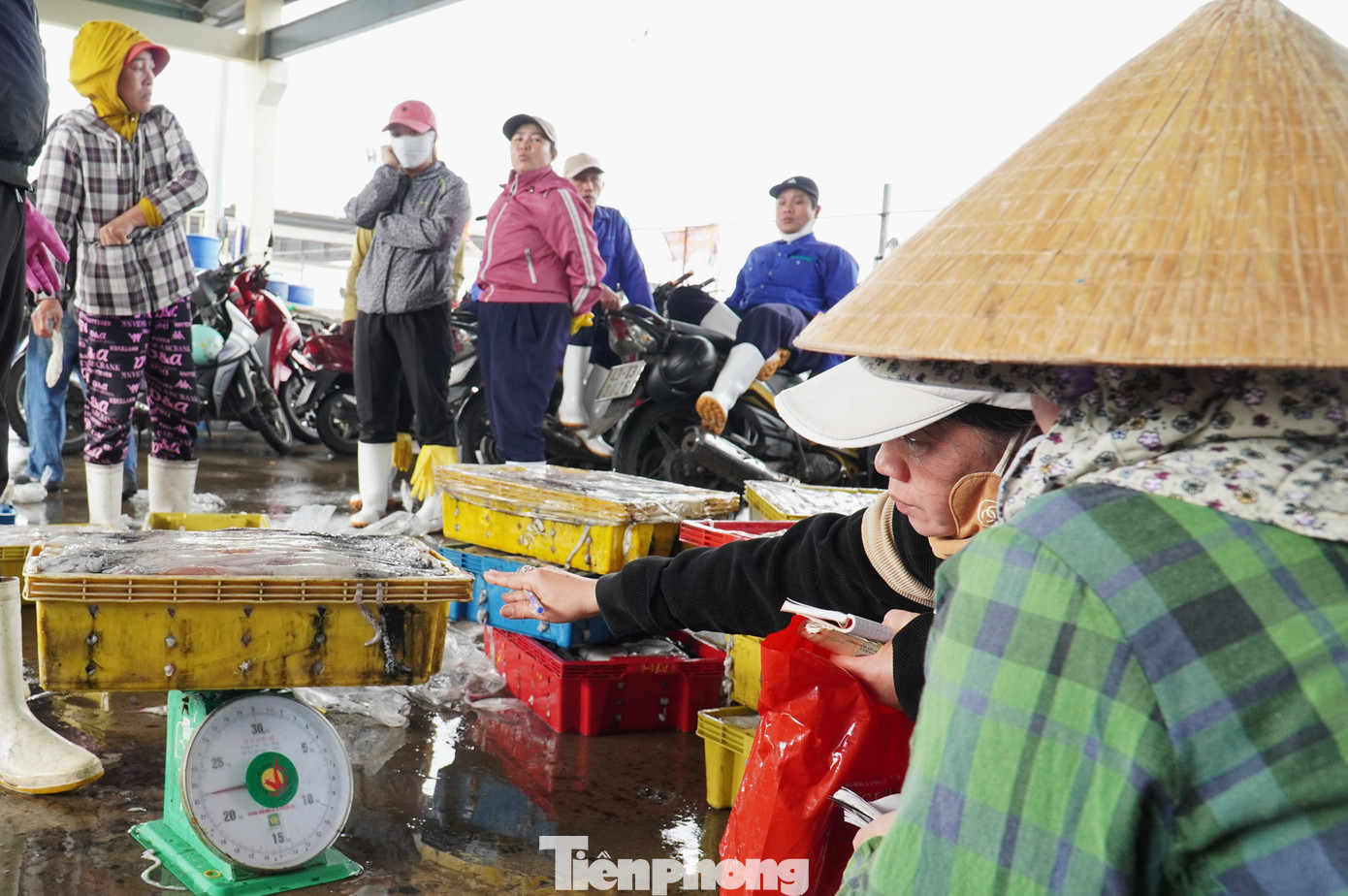 tp muc tet 11 1769394311281 17693943115051325084985