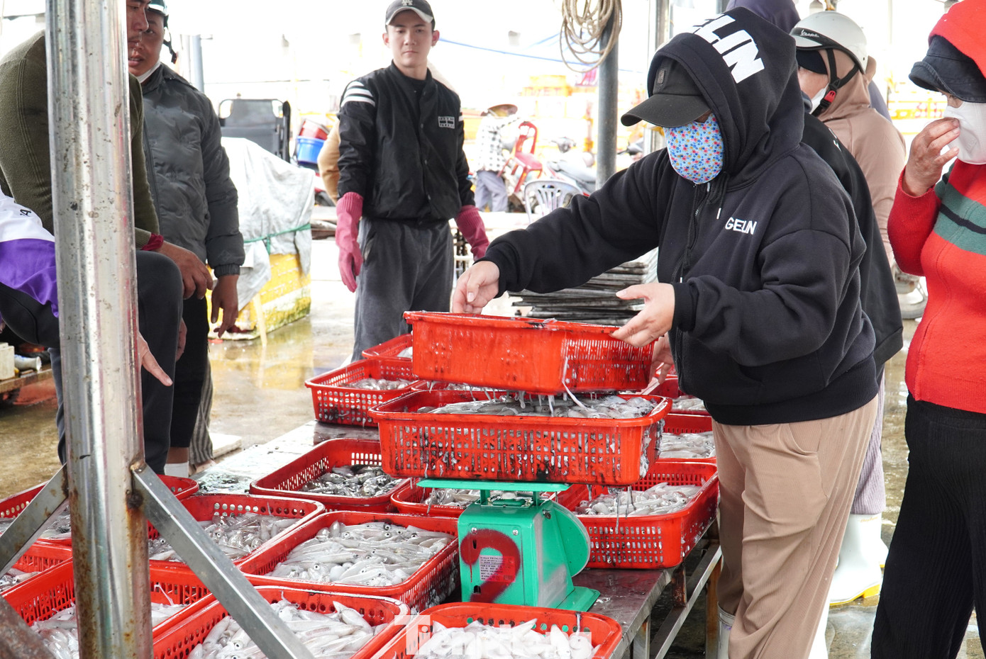 tp muc tet 15 1769394310451 17693943107521206447328