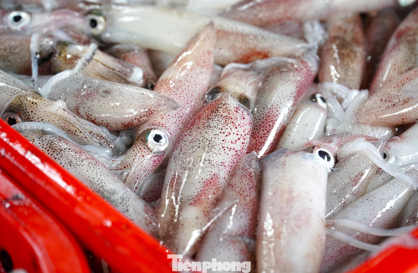 tp muc tet 22 1769394305535 1769394305776418287494