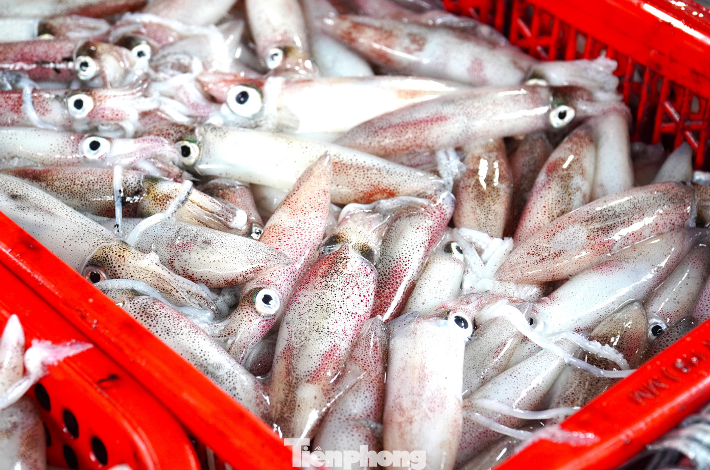 tp muc tet 23 1769394318107 1769394318267834316223