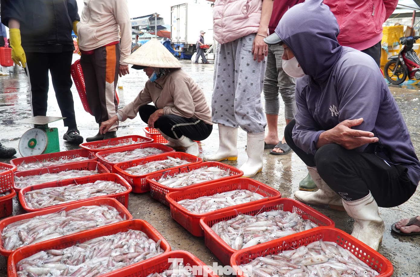 tp muc tet 27 1769394319673 17693943198761968470668