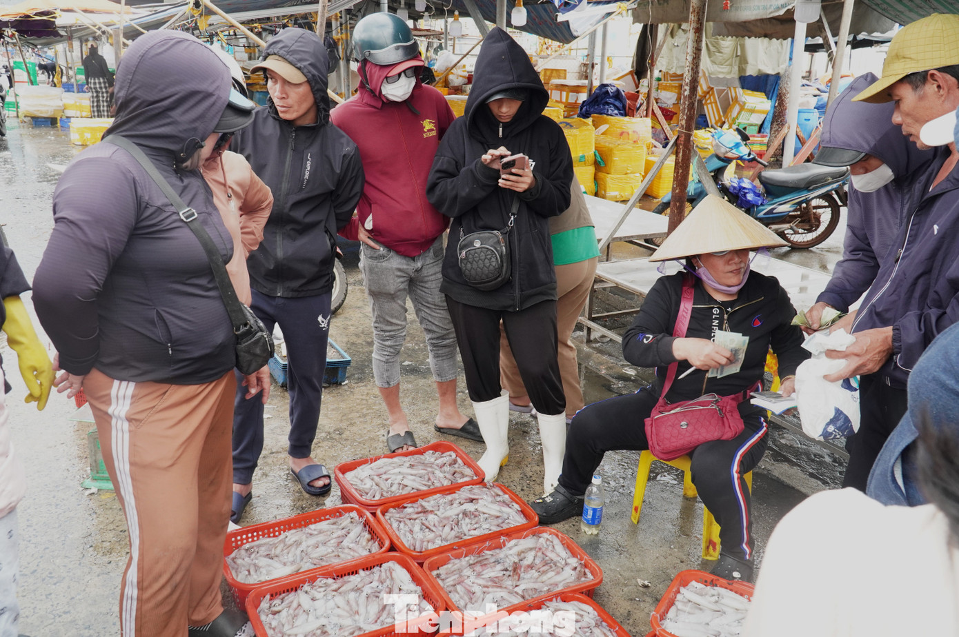 tp muc tet 34 1769394306884 1769394307722830444558