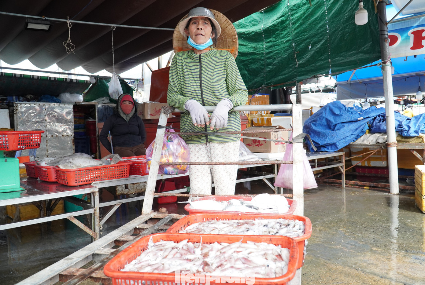 tp muc tet 36 1769394322458 176939432264248507953