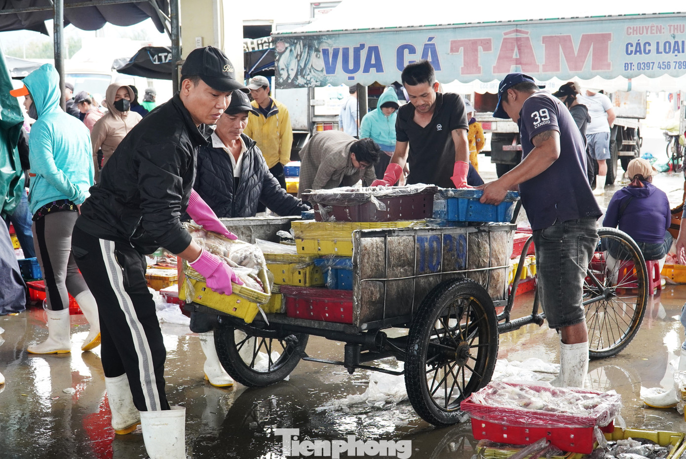 tp muc tet 4 1769394316825 17693943170242013185197