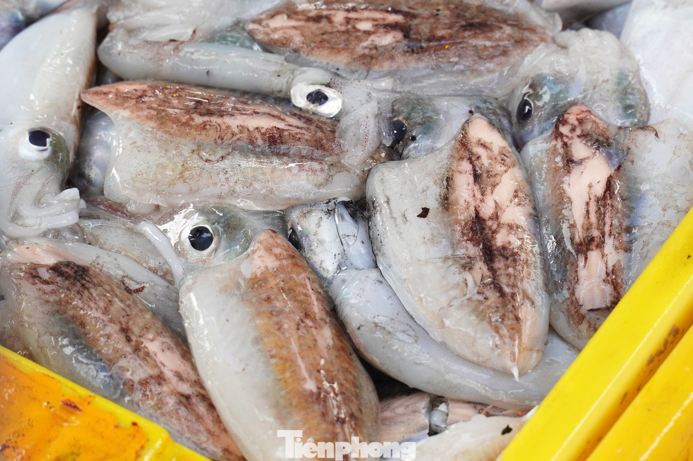 tp muc tet 9 1769394316188 17693943163951196271280