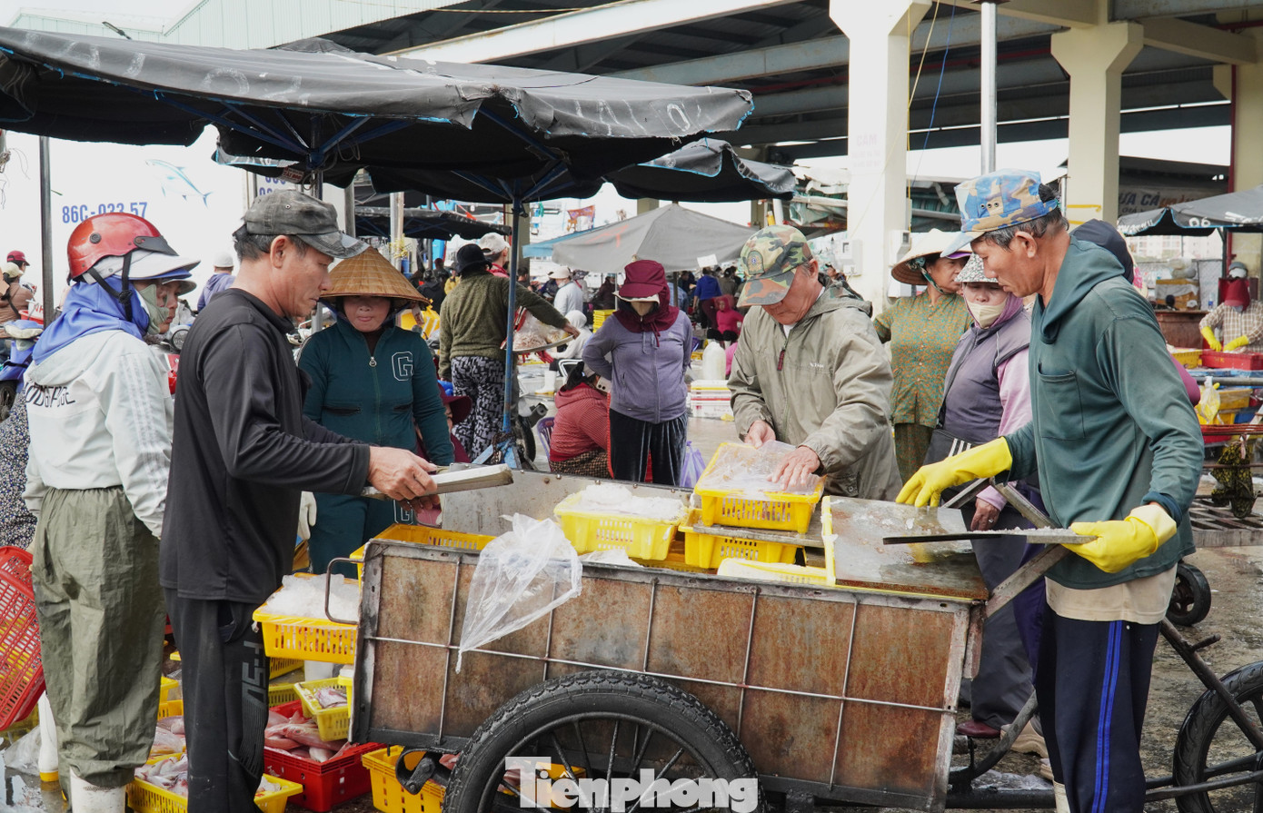 tp mucdn 1769394320467 17693943206421854509715