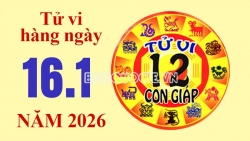 tu vi hom nay xem tu vi 12 con giap hom nay ngay 1612026 20260114180100