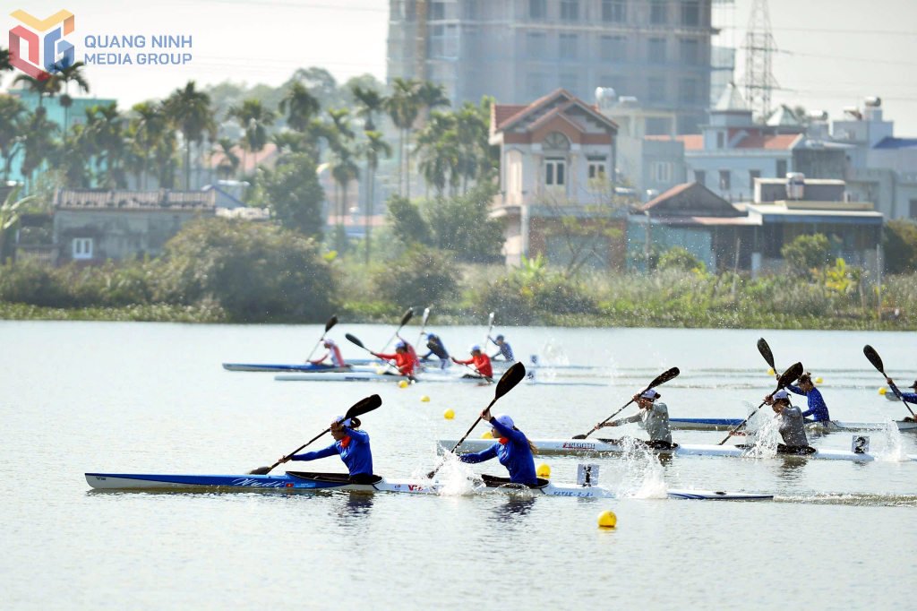 2470817 wtm 77e5daed3a6f38999e8badafb35e6089