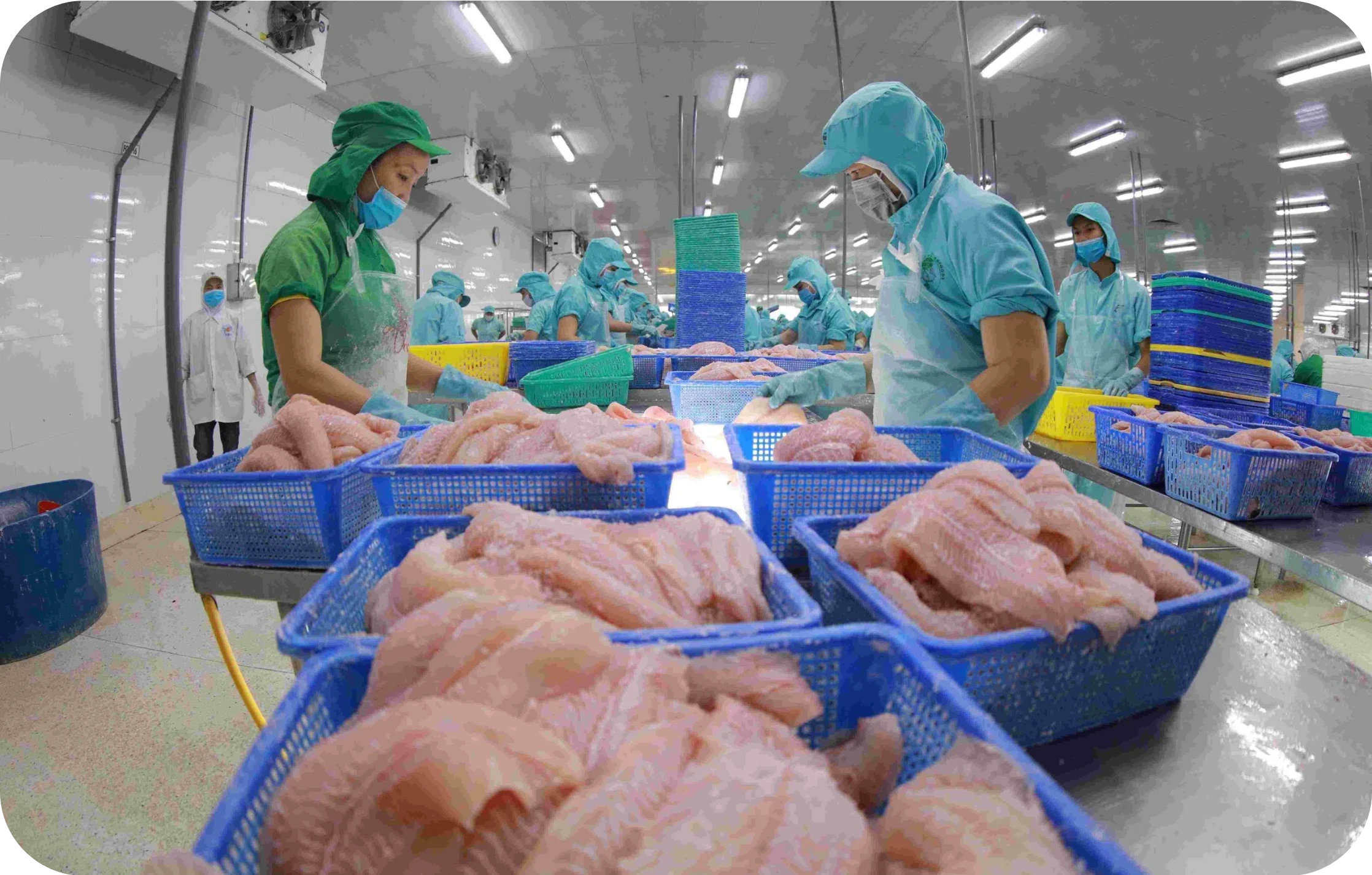 doanhnghiepxanh 5.webp