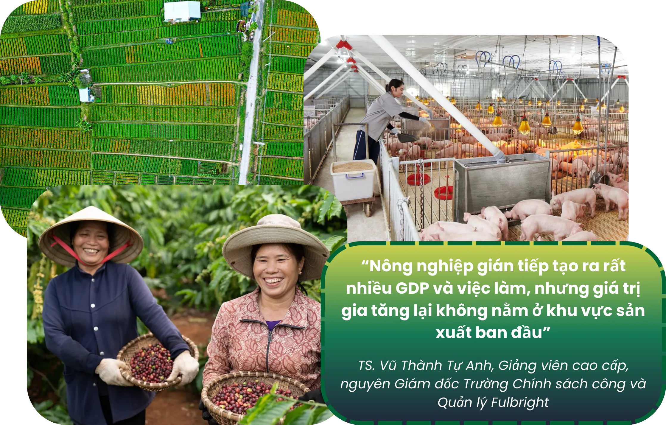 doanhnghiepxanh 7.webp