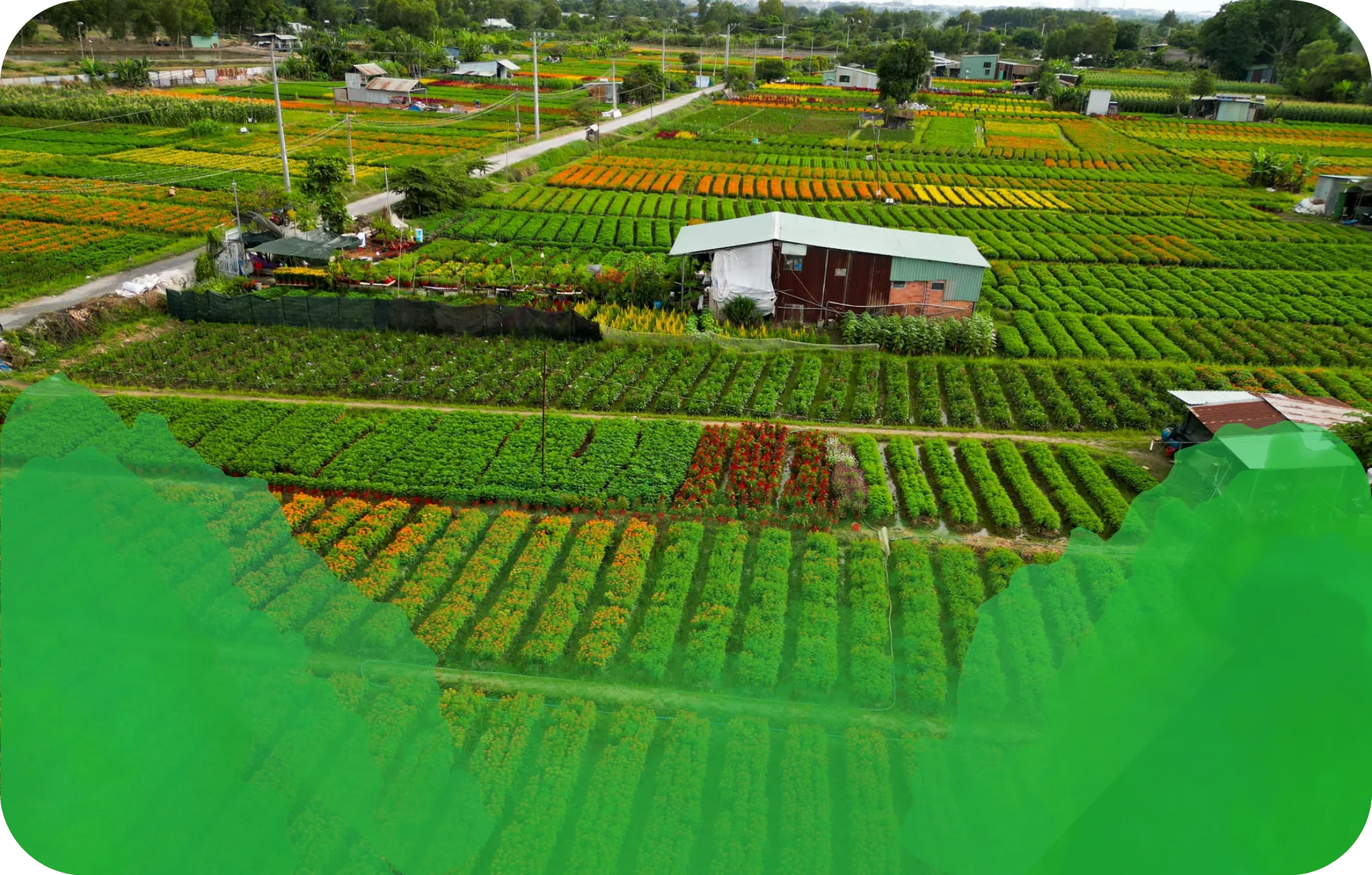 doanhnghiepxanh 8.webp