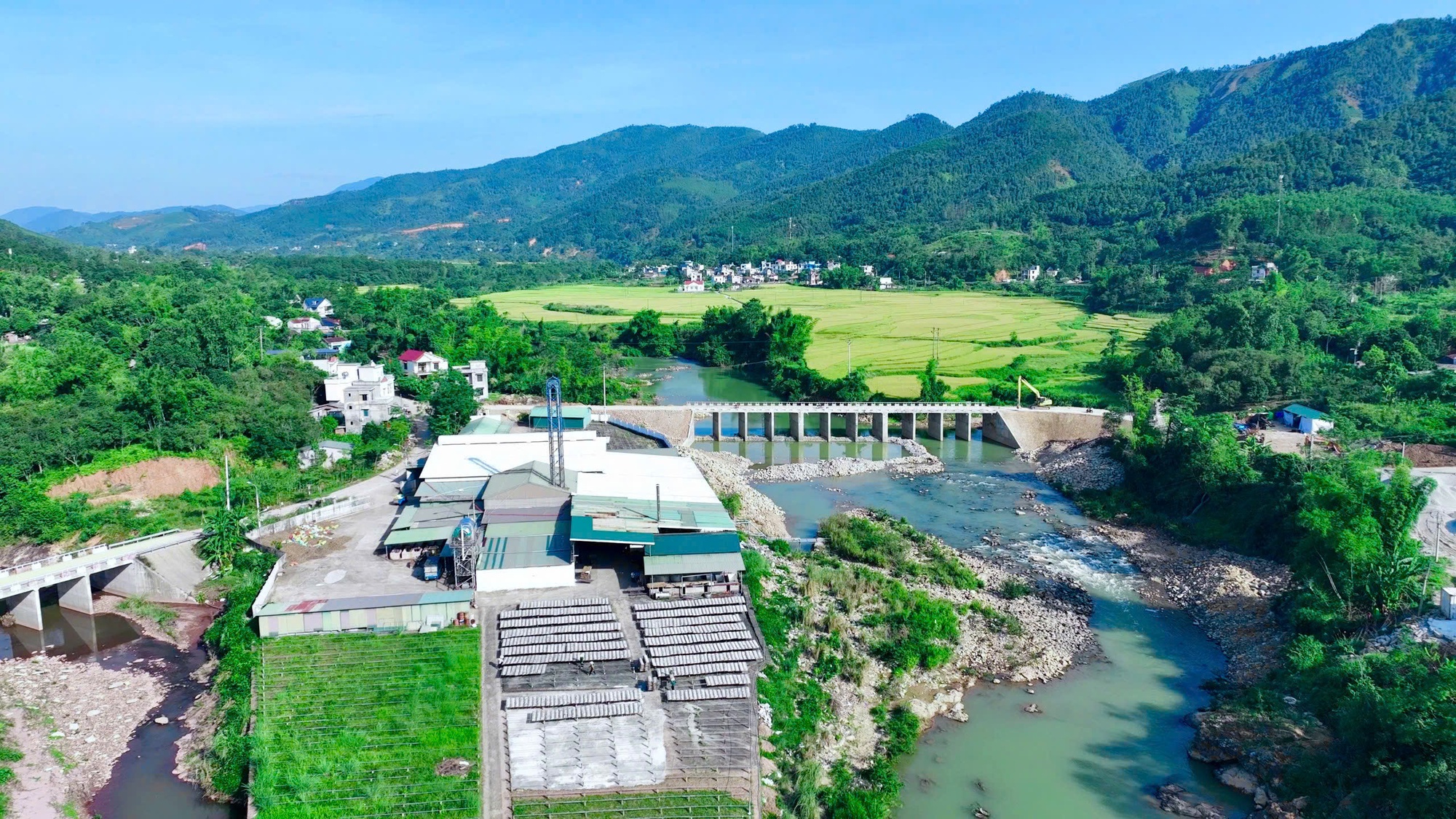 mien 1770856618544 17708566187121333999967